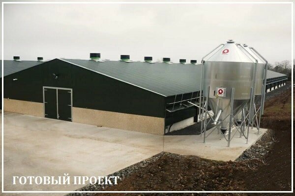 Этапы возведения птицефабрики от завода ВелесТент-стп